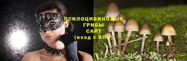 скорость Алзамай