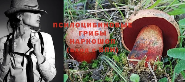 скорость Алзамай