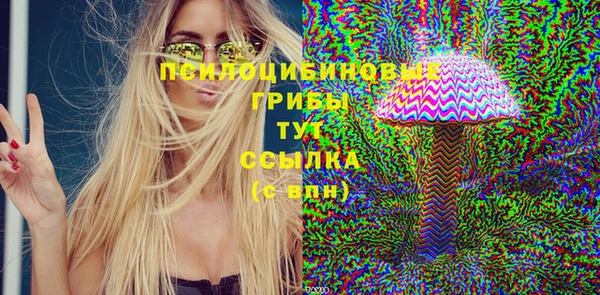 скорость Алзамай