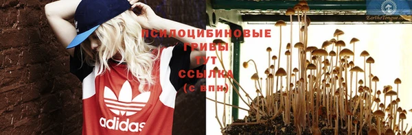скорость Алзамай