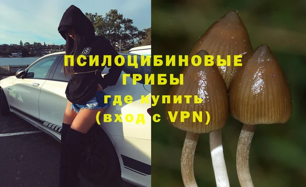 амф Алексин