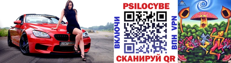 Псилоцибиновые грибы прущие грибы  дарнет шоп  Зеленоградск 